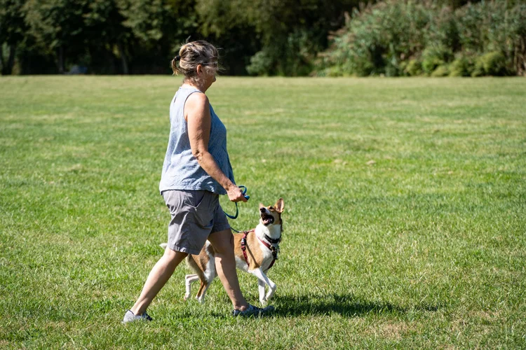 Client walking with dog during Peace Walk