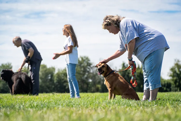 Group Peace Walk session with dogs and caregivers